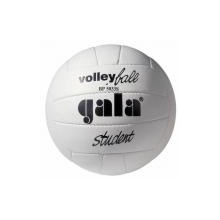Volejbalový míč GALA Student - BP 5033 S