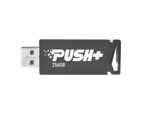 256GB Patriot PUSH+  USB 3.2 (gen. 1)